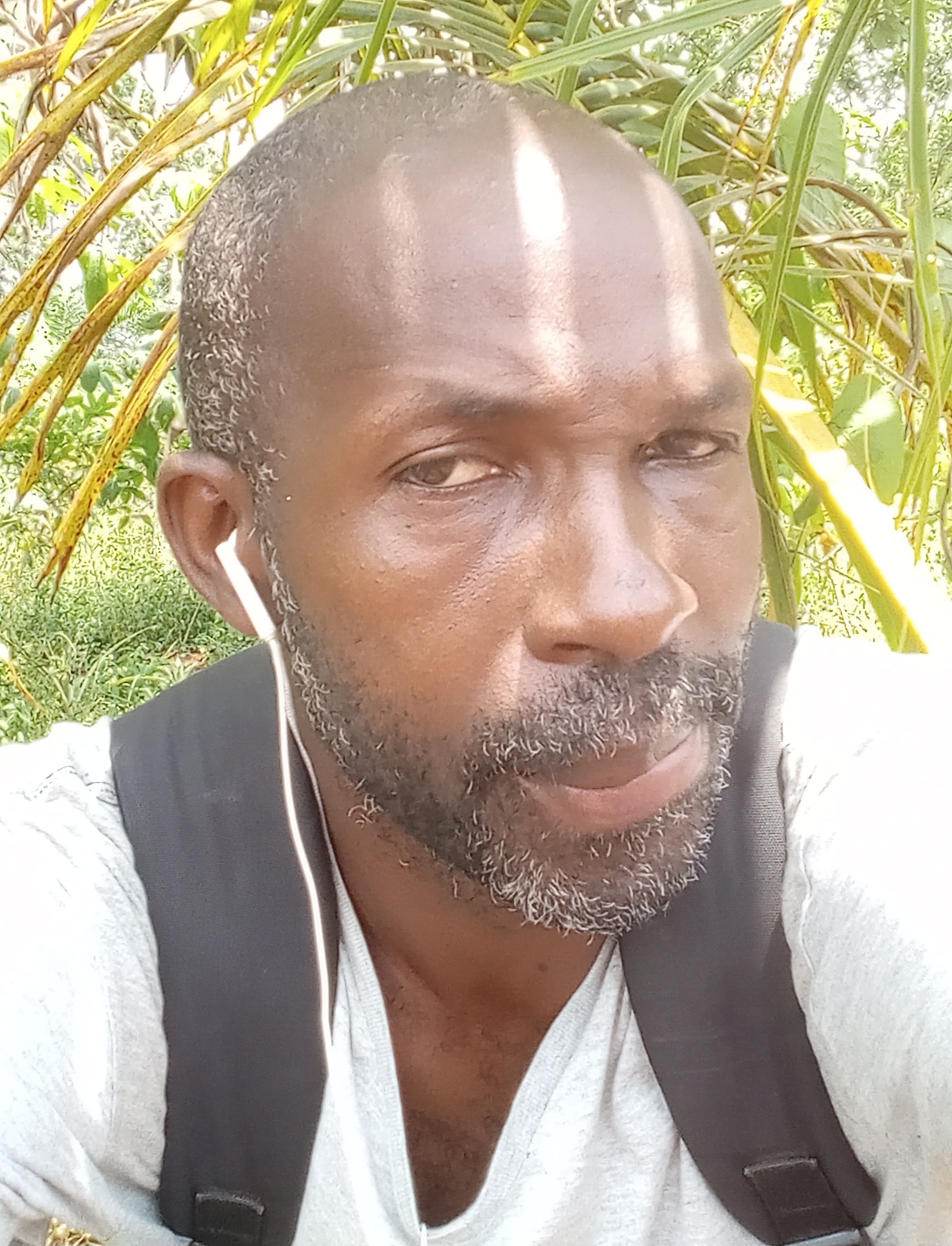 Profile picture of the artist Atouloo