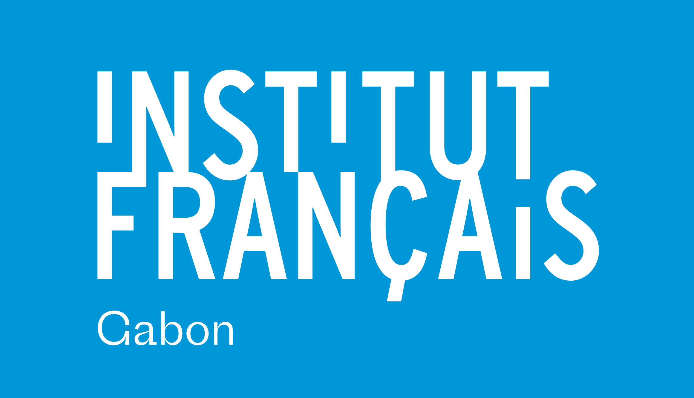 Profile picture of the artspace Institut Français du Gabon