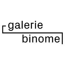 Cover of the artspace Galerie Binome