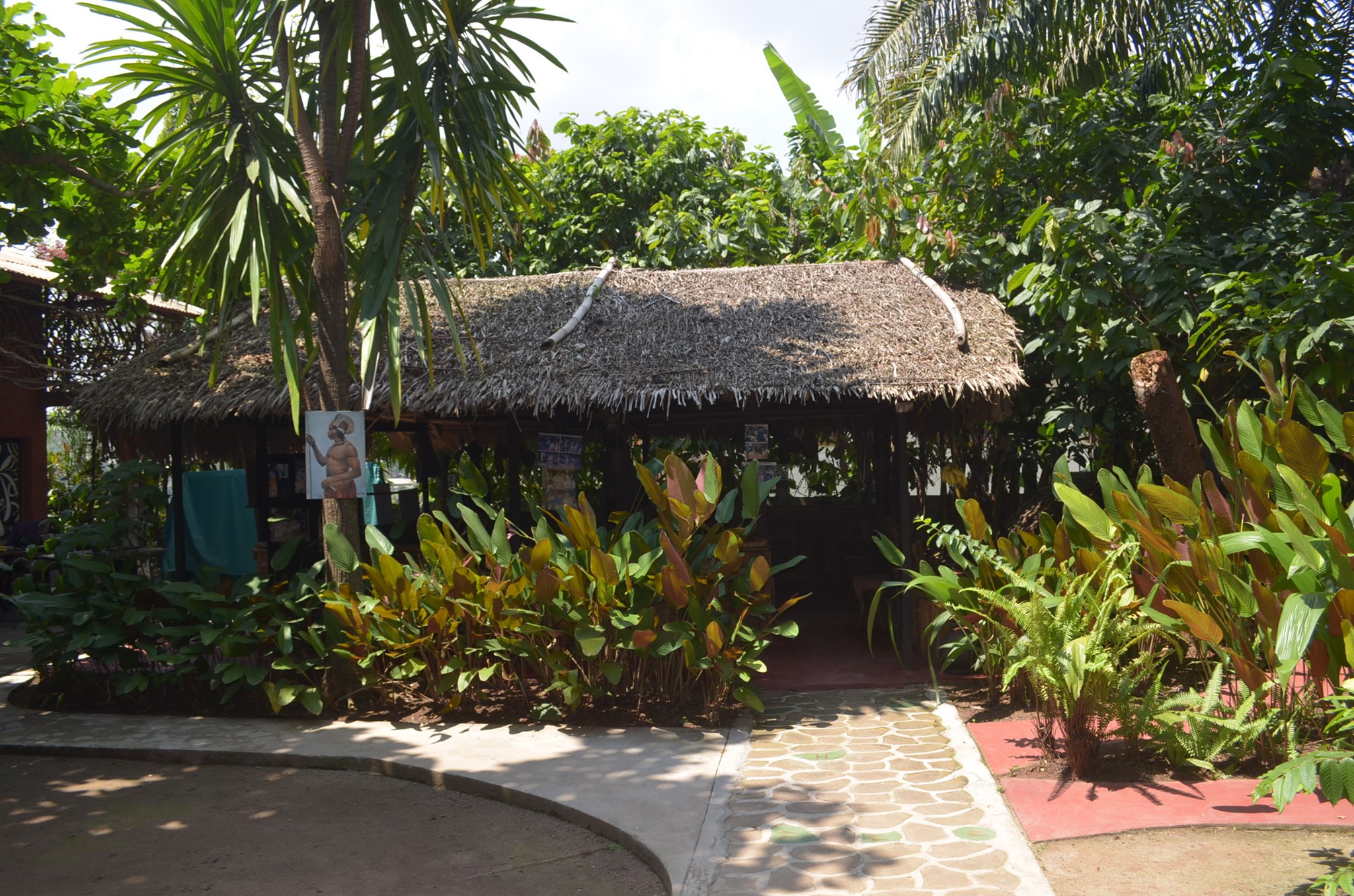 Cover of the artspace Ethnographic and Historic Museum of the People of Central Africa